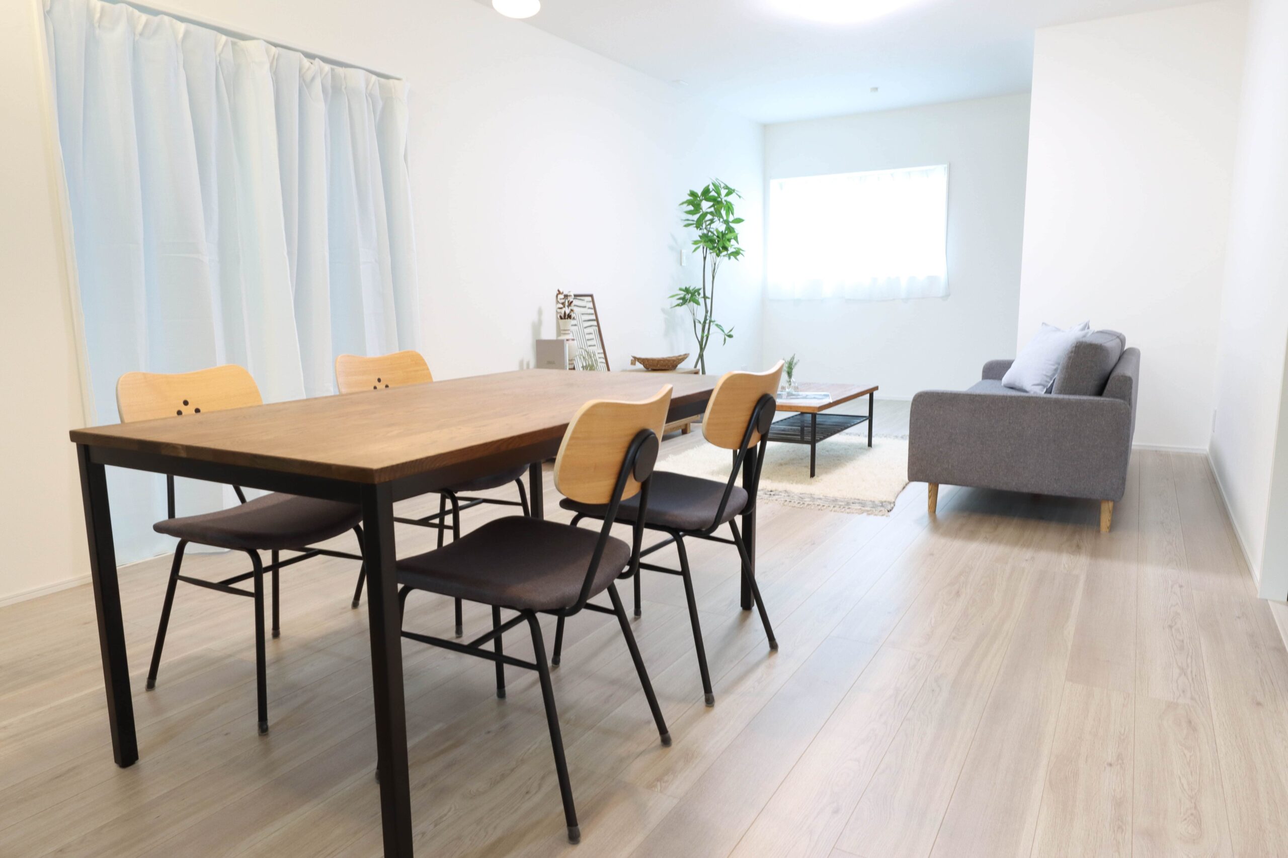 ギャラリー画像