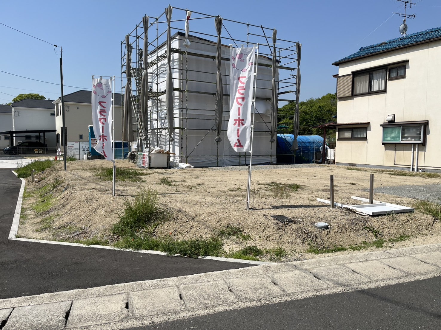 ギャラリー画像