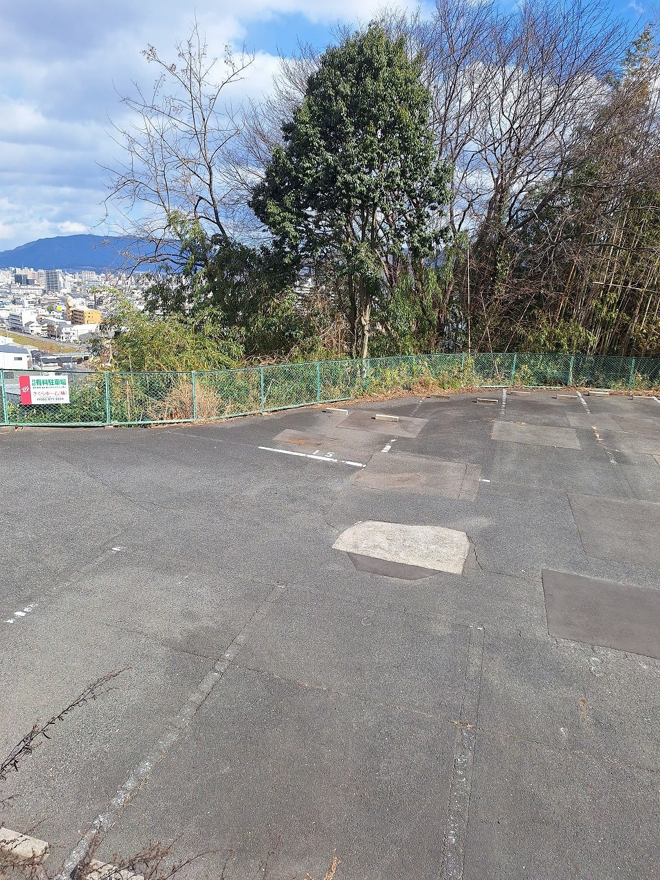 ギャラリー画像